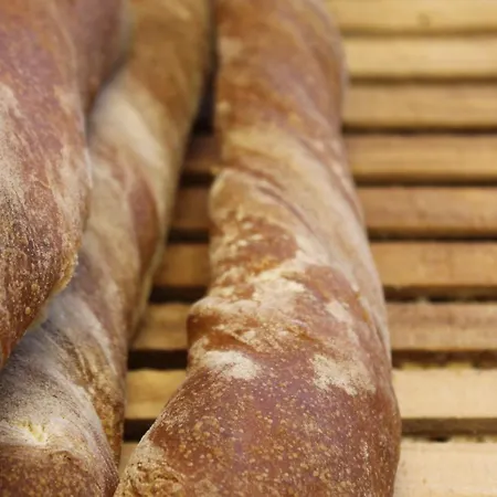 Hotel Hojbyso Højby