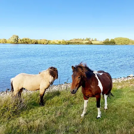 Hojbyso Ξενοδοχείο
