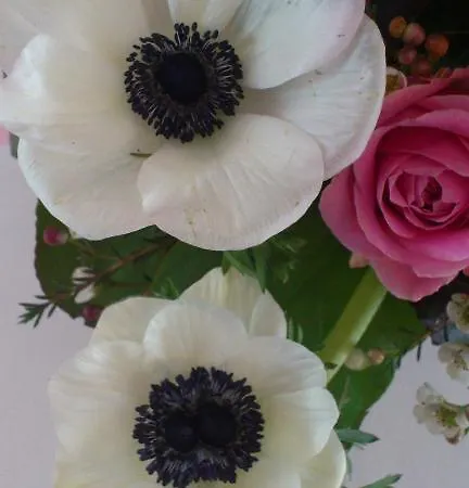 Hojbyso Ξενοδοχείο 3*